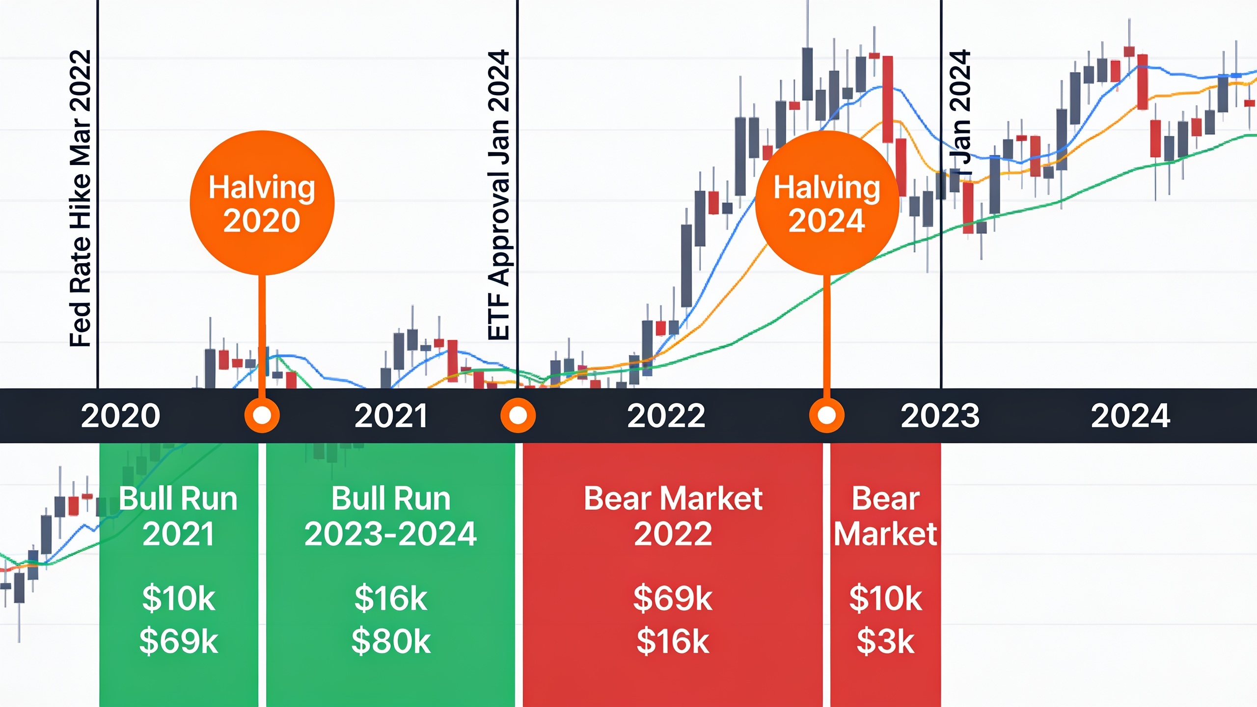 Historical Bitcoin price timeline showing halving events, bull and bear markets, and macro catalysts from 2020-2024