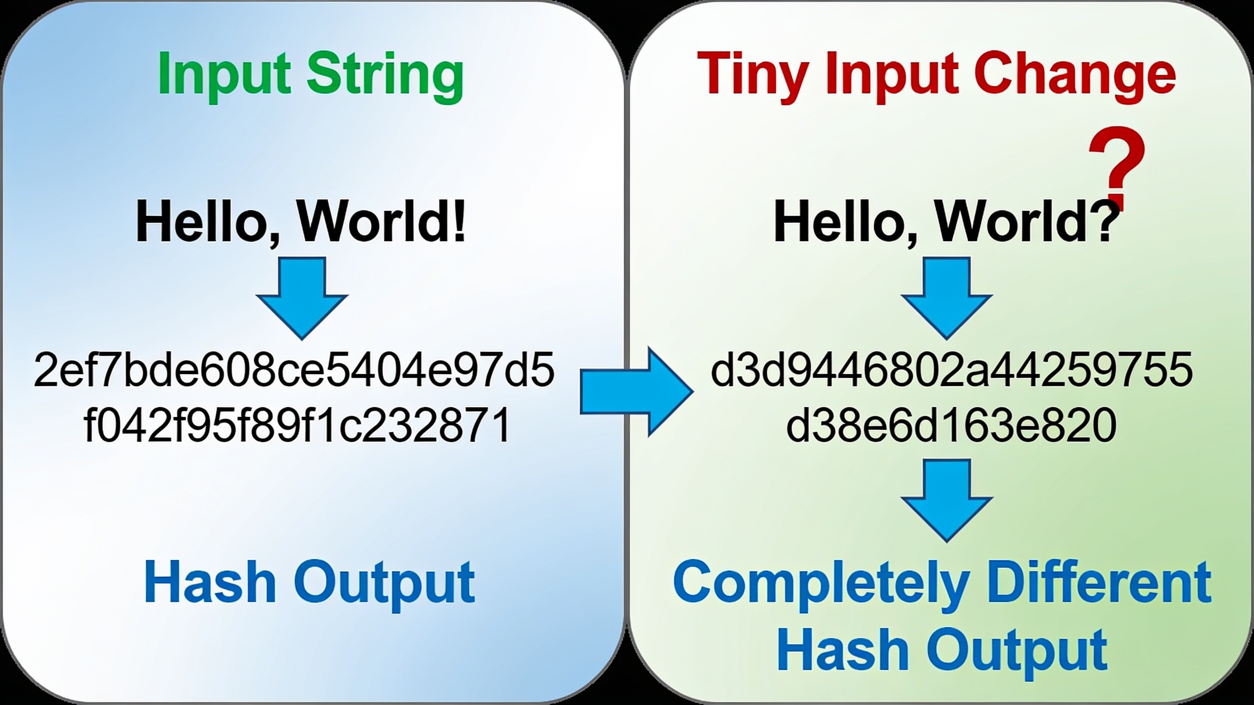 Cryptographic hashing demonstration showing how small input changes create completely different hash outputs