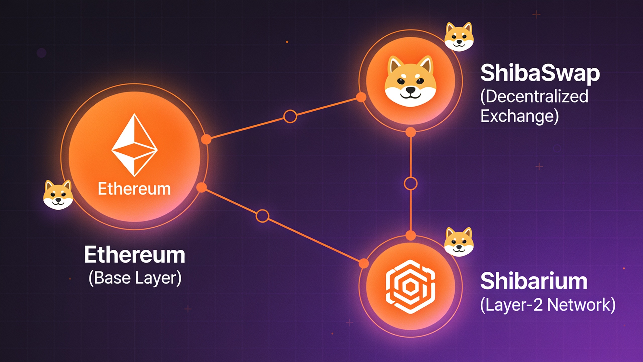 Shiba Inu ecosystem architecture diagram showing Ethereum integration, ShibaSwap DEX, and Shibarium layer-2 network components
